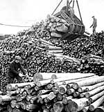 Historic logging