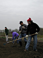 workers raking in the garden