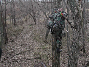 
Tom Rakow climbs down from his stand to see whether his shot connected. (MPR Photo/Jeff Horwich)