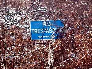 
A thin forest of trees and a modest fence separate the Prairie Island Indian Community from the state's largest nuclear plant.   (MPR Photo/Erin Galbally)