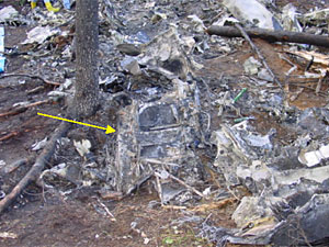
A view of the passenger/crew door at the crash site (National Transportation Safety Board)