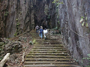 
Heading up the stairs to the Cave of the Monkeys (Photo courtesy of Gunnar Lars Liden)