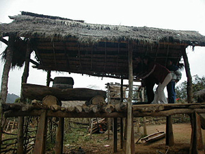 
This picture is of me and Shau trying out the
rice grinder.  The rice grinder is built on a hut that
is supported by bomb shells from the Vietnam war. The
rice grinder is used to grind rice into rice flour. 
This picture was in a Hmong village in Xieng Khouang.

 (Photo courtesy of Soua Yang)