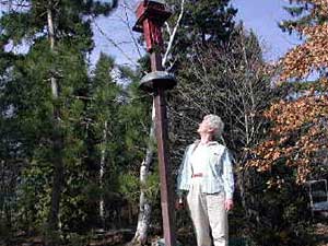 
Alison Clarke's bird feeder is more than eight feet tall, and one neighborhood bear can touch it with his nose. Bears have left claw marks in the wooden post.  (MPR Photo/Chris Julin)
