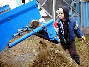 
Thor, 6, enjoys his chores -- so far. He can't wait for the day he's finally old enough to join in the milking. (MPR Photo/Nikki Tundel)