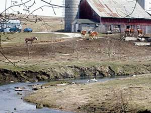 
Camp Creek runs through this farm, and the owner allows anglers to come onto his property to fish. (MPR Photo/Lanee' Benson)