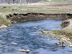 
Erosion along the banks of the creek is evident. Such erosion is bad for trout, which prefer sloping banks. (MPR Photo/Lanee' Benson)