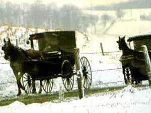 
The Amish travel in open buggies year round, even in the winter. (Photo courtesy of town of Harmony)