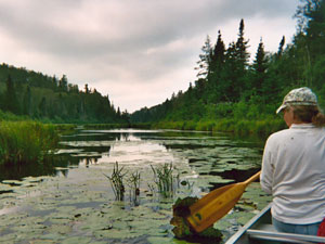 
Cucumber Lake is one of the areas recommended for increased protection. (Photo courtesy of Friends of the Boundary Waters Wilderness)