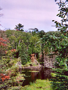 
Echo River (Photo courtesy of Friends of the Boundary Waters Wilderness)