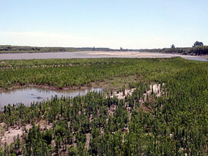 Larger view