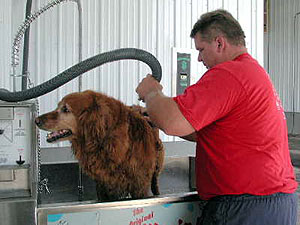 
The last step is using the blow dryer.  (MPR Photo/Chris Julin)