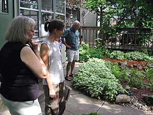 
Area residents are touring Linehan's rain garden. (MPR Photo/Mary Losure)