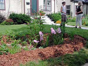 
The tour highlights several examples of rain gardens which can be adapted to various parts of a yard. (MPR Photo/Mary Losure)
