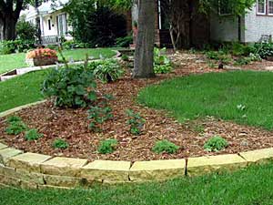 
The landscaping in this front yard allows rainwater running off the house to soak into the ground gradually.  (MPR Photo/Mary Losure)