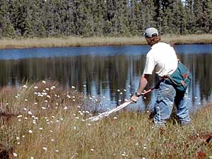 
Kurt Mead captures dragonflies with a butterfly net. On this day he was hoping to capture a Blue Darner, a large and relatively rare dragonfly in Minnesota. Several were sighted, but all avoided the net. (MPR Photo/Bob Kelleher)