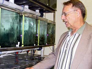 
John Haaland's company was founded three years ago to study gene functions and potentially deliver gene therapies for blood diseases. Some of the company's work involves zebra fish. (MPR Photo/Laura McCallum)