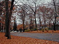 Larger view
