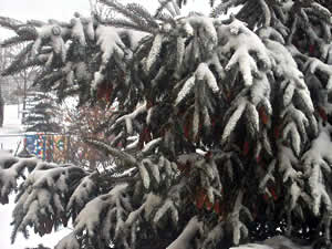 Larger view