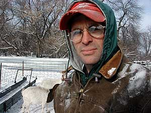 
Ritch Peterson sells more than 500 goats a year.  He 
farms near Tyler in southwest Minnesota. (MPR Photo/Mark Steil)