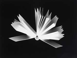 
Artist Alison Rossiter makes photograms of books, much like x-rays, with the spines open and the pages fanned out. Some look like birds taking off in flight, while others resemble a flower or a burst of flames. (Photo by Alison Rossiter)