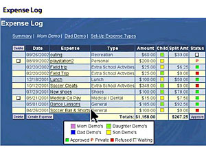 
A sample expense form (Jai Kissoon)