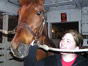 
Alicia Dahlen bought her horse Solo after she found out she could keep him in a barn on the UMM campus. (MPR Photo/Tim Post)