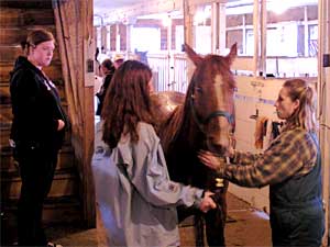 
There's a barn on the campus of the University of Minnesota in Morris.  Students are able to board their horses here during the school year.  The students have to pitch in and help take care of the barn and the other horses too.   (MPR Photo/Tim Post)