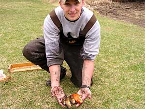 
Tyler Winter has been catching fish in the puddles of Rock Pond, which is in a nature center across the street from the University of Minnesota, Duluth. Many aquarium fish have been dumped into the pond, and now Winter and others are cleaning them out.    (MPR Photo/Chris Julin)