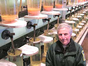 
Don Schreiner is the DNR's manager of fisheries for Lake Superior.  Every year the hatchery at Knife River rears thousands of rainbow trout. (MPR Photo/Stephanie Hemphill)