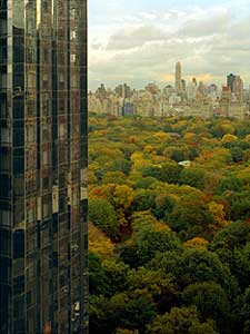 
'View of Central Park and Trump Tower from Time Warner Building, 2003'  Robert Polidori will go to extreme lengths to get a picture. This shot across Central Park was taken from a ledge where gusting winds sometimes reach 150 mph. (Image courtesy Robert Polidori)