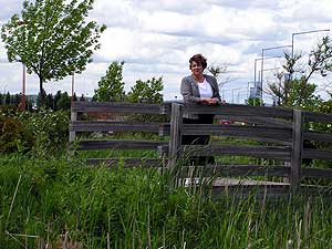 
Jan Murphy built a rain garden when she built J.W. Beecroft, a bookstore and coffee shop in Superior.  Murphy would like the garden to include some open water, but for now the cattails have taken over. (MPR Photo/Stephanie Hemphill)