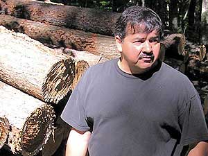 
Don Reiter manages wildlife at the Menominee Tribal Forest in northeastern Wisconsin.   The forest retains a healthy diversity of plant life, and has a low deer population. (MPR Photo/Stephanie Hemphill)