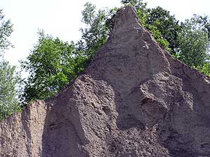 
The water has carved some of the banks into pinnacles. (MPR photo/Mark Steil)