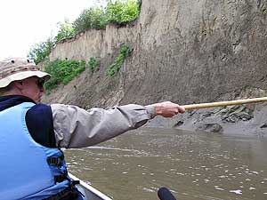 
Tom Bosacker points to erosion damage along the river bank (MPR photo/Mark Steil)