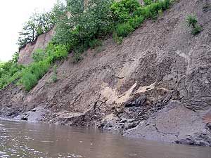 
While the soil falling into the river often comes from the top of the banks, it can pull dirt from lower down with it.  (MPR photo/Mark Steil)