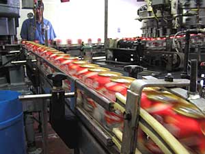 
Hundreds of beer cans rush by on a conveyor line in the brewery.  These are Grain Belt cans. Schell's bought the Grain Belt label about two years ago. (MPR Photo/Mark Steil)