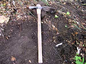 
This is a mattock, the main tool used to carve new trail from the forest floor. Forest firefighters use a similar tool called a 'Pulaski,' in honor of Edward C. Pulaski, who's credited with its invention.  While a pulaski is intended to cut wood, the mattock is useful for grubbing roots and rocks. (MPR Photo/Bob Kelleher)