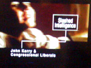 
A Bush ad (Bush TV ad)