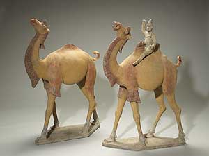 
This camel is new to the MIA exhibit. It's part of a pair of camels with a driver. It's made of earthenware colored with pigments and dates to the late 17th or early 18th century in China.
 (Photo courtesy of the MIA)