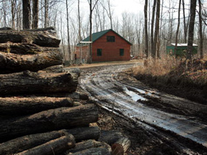 
 A muddy road leads to the hunting cabin of Robert Crotteau in Sawyer County, Wisconsin. Crotteau, his son and four others in a hunting party were killed, and two others wounded, when a man confronted about trespassing on Crotteau's property opened fire on the group. (Scott Olson/Getty Images)