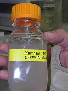 
Xanthan is a $500 million global industry. It's mostly made using sugar as the base ingredient, but BSU researchers say it could just as easily be made using potato waste.  (MPR photo/Tom Robertson)