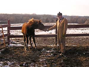 
Rich Purdy left 3M in 2000. He now runs a farm in western Wisconsin, where he breeds draft horses. Because of what he learned at 3M, Purdy says he doesn't have carpets in his house. His farm is all organic. "Don't fool with chemicals if you don't have to," says Purdy.  (MPR Photo/Mike Edgerly)