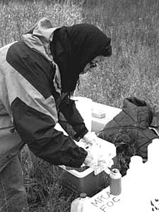 
MPCA researcher Fardin Oliaei is collecting soil samples at the Washington County landfill, where 3M used to dispose of chemical wastes.  (MPR Photo/Sasha Aslanian)
