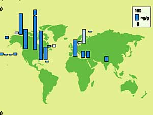 
John Giesy of Michigan State University researched the presence of PFOS in the environment. This map shows where aquatic mammals have been found to have PFOS in their systems. The dark blue indicates levels of the substance in the liver, and the light blue in blood plasma.  (Image courtesy of Prof. John Giesy, Michigan State University)