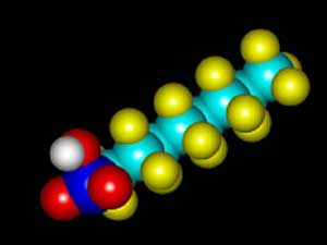 
PFOS and PFOA are man-made chemicals, where carbon is attached to fluorine. They're sometimes called "C8," because they contain eight carbon molecules. The compounds are extremely stable and don't break down in the natural environment. (Image courtesy of Prof. John Giesy, Michigan State University)