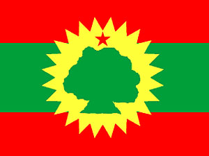 
A sycamore tree is in the center of the flag for the Oromo Liberation Front. (Image courtesy of Wikipedia)