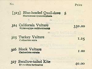 
Prices for eggs varied widely during the heyday of egg collecting. This is a page from an egg catalog. Peregrine falcon eggs, already declining at the turn of the century, went for $8 each, which was a lot of money at the time.  California condor eggs cost $350 apiece. (Photo courtesy Carrol Henderson)