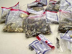 
One looter was caught with 15 bag full of artifacts, including pottery and scrapers. (MPR Photo/Cara Hetland)