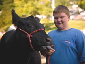 
Young Iowans have been showing their livestock at the Iowa State Fair since 1854. There are more than 30 competitions for cattle alone.  (Tom Moore Images)